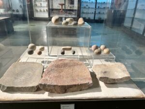 National Museum Delhi